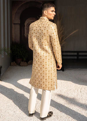 Beige Golden Embroidered Sherwani DD003 - Dress Designers