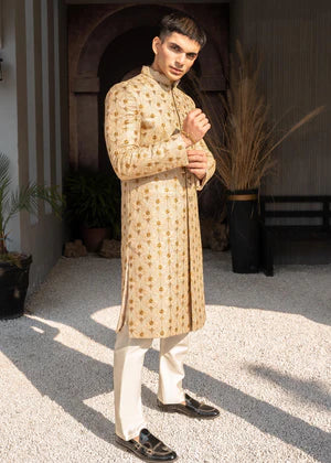 Beige Golden Embroidered Sherwani DD003 - Dress Designers