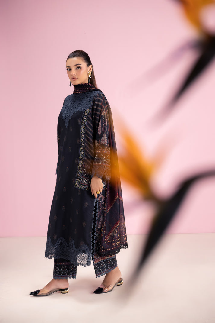 Aabyaan | Eid Pret 25 | VANYA AP-06