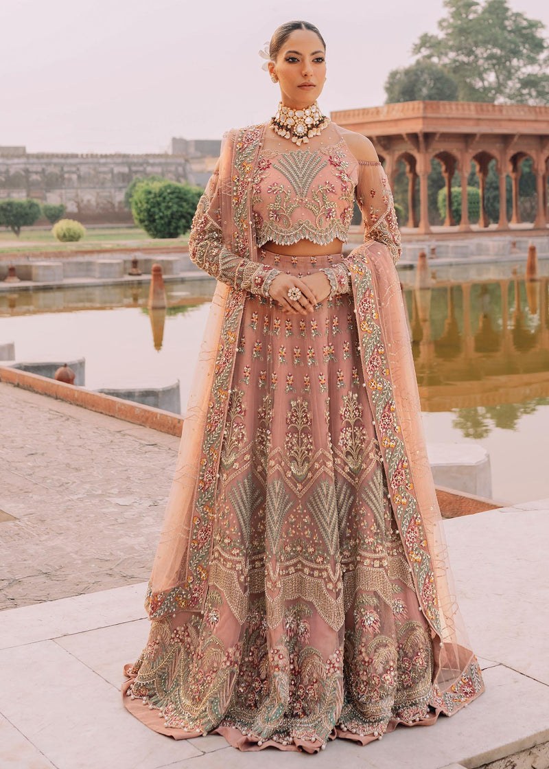Shurooq | Arjumand Bano Formals | Nawab Bai