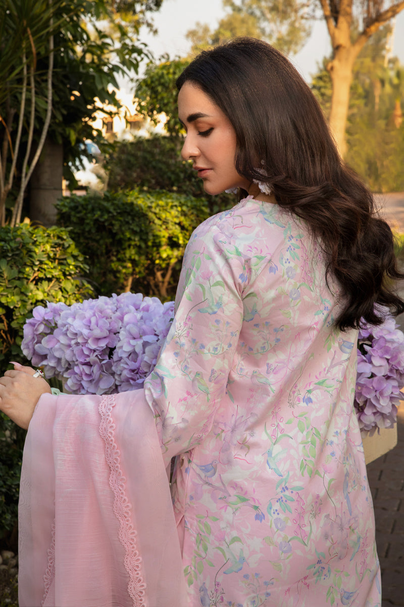 Rangrasiya | Florence Summer Edit 25 | Rania