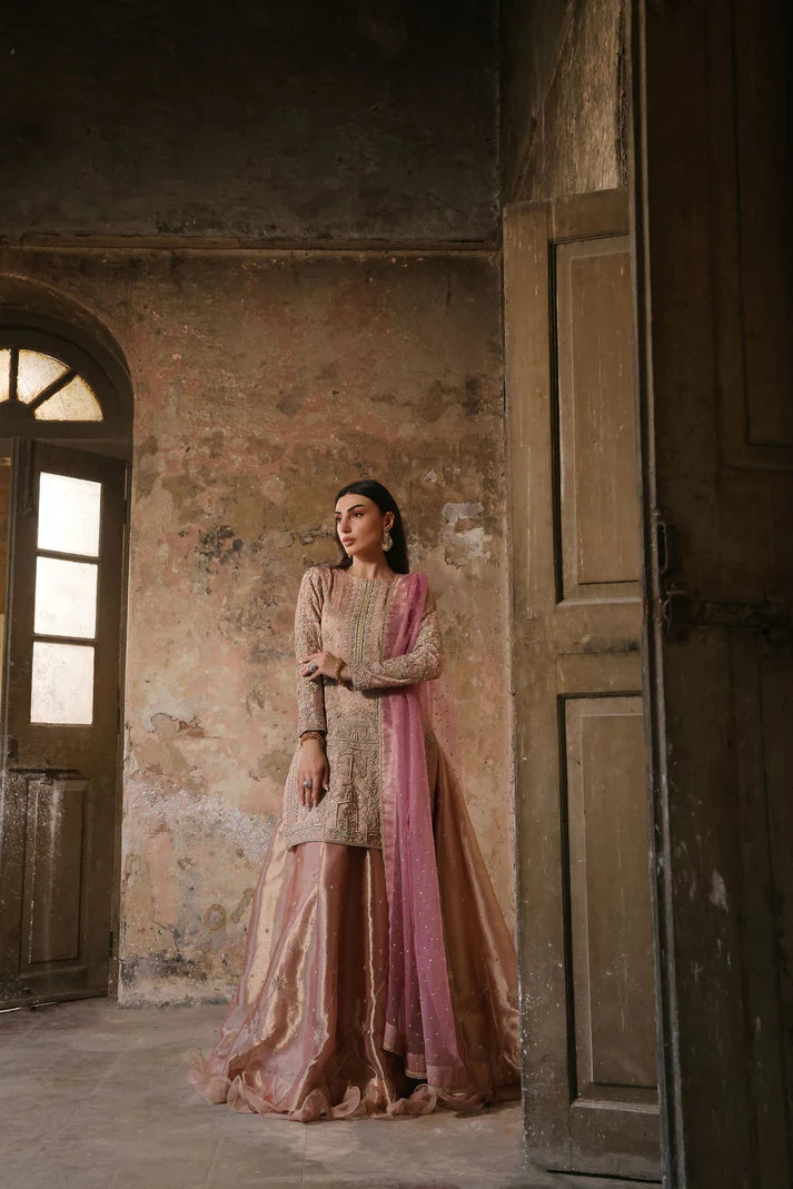 Wahaj M Khan | Banno Wedding Formals | Pale Pink Lama Tissue Bano