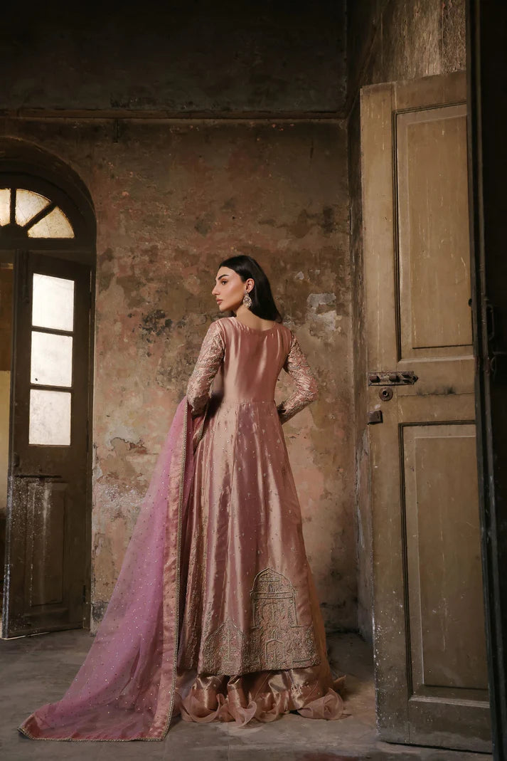 Wahaj M Khan | Banno Wedding Formals | Pale Pink Lama Tissue Bano