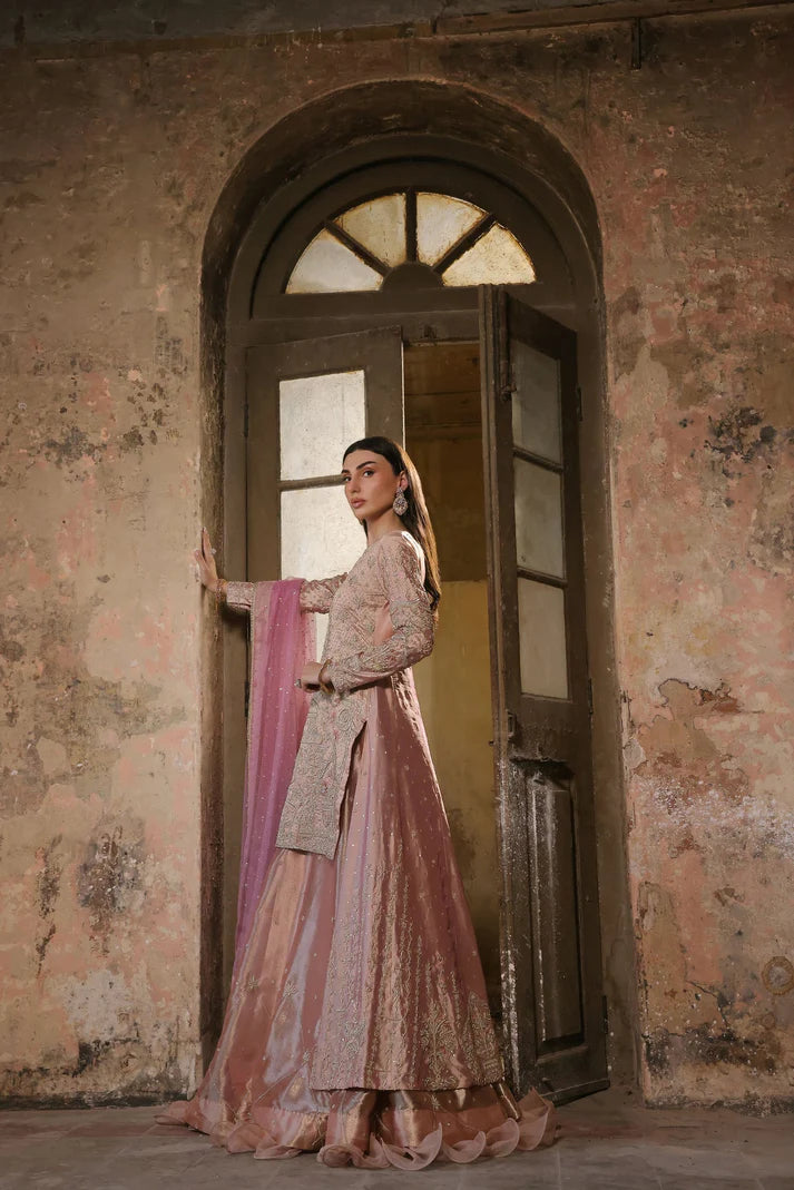 Wahaj M Khan | Banno Wedding Formals | Pale Pink Lama Tissue Bano