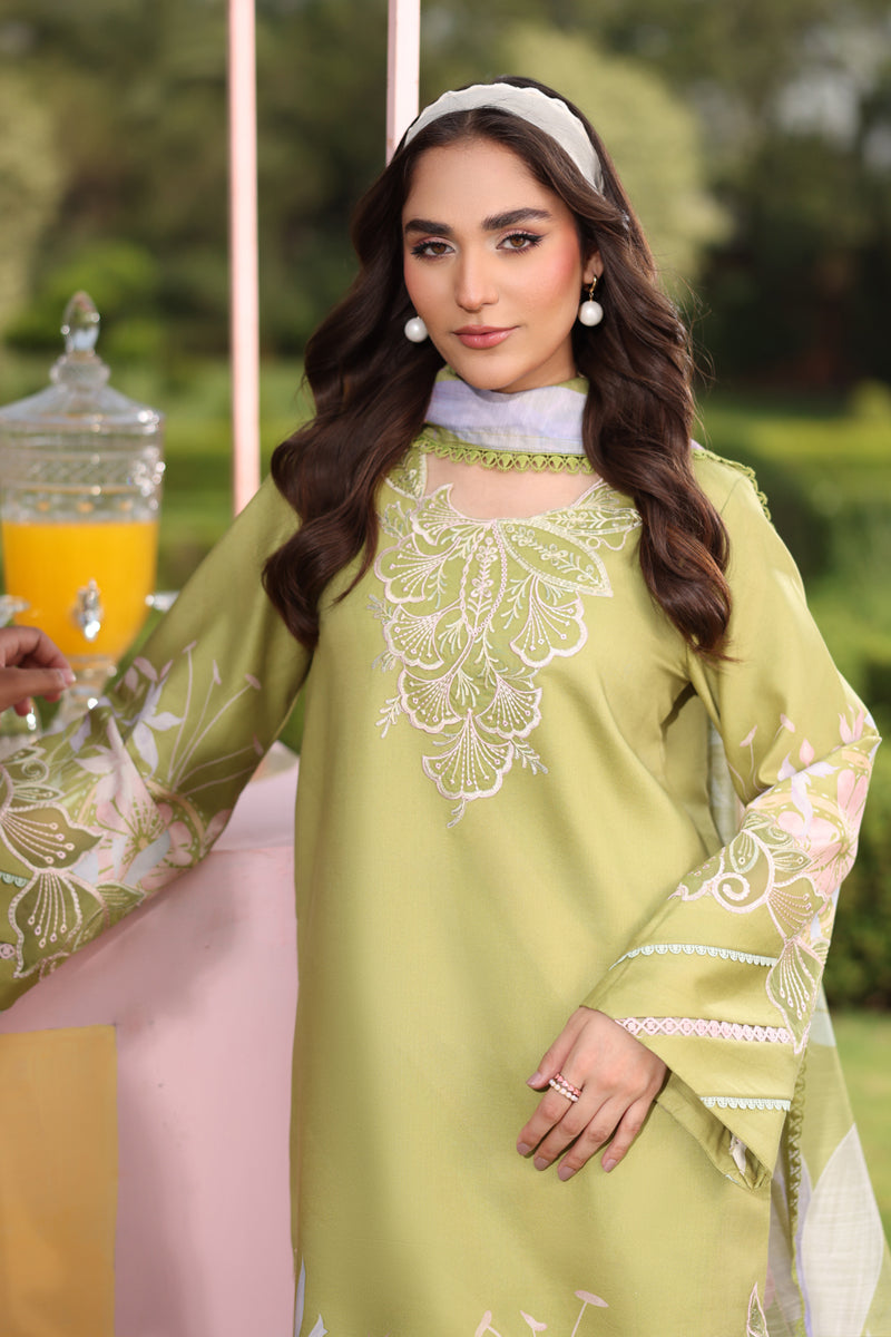 Rangrasiya | Lifestyle Summer Edit 25 | Elysia