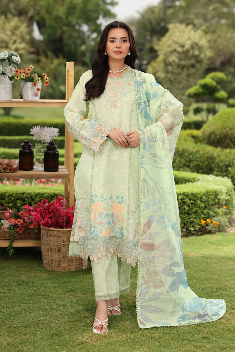 Rangrasiya | Lifestyle Summer Edit 25 | Reeha