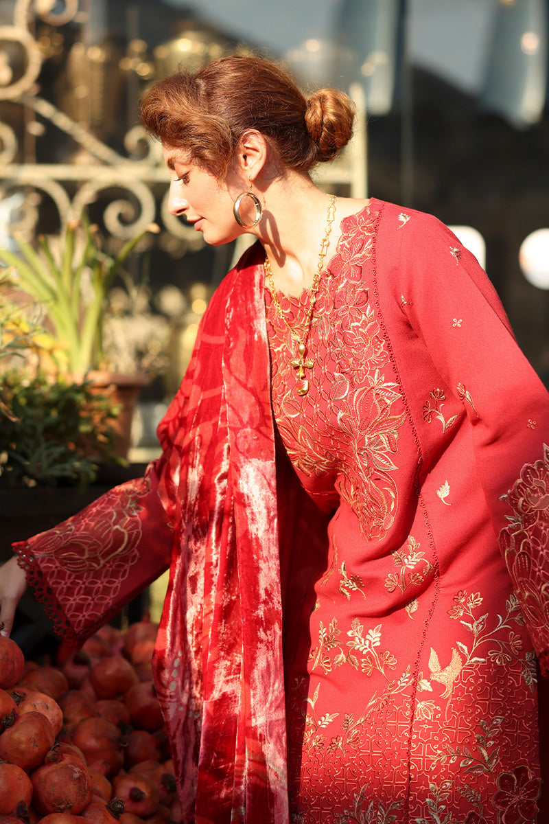 Rangrasiya | Carnation Luxury Shawl Edit | Cold Brew