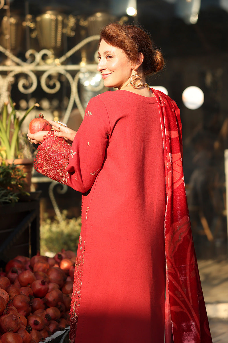 Rangrasiya | Carnation Luxury Shawl Edit | Cold Brew