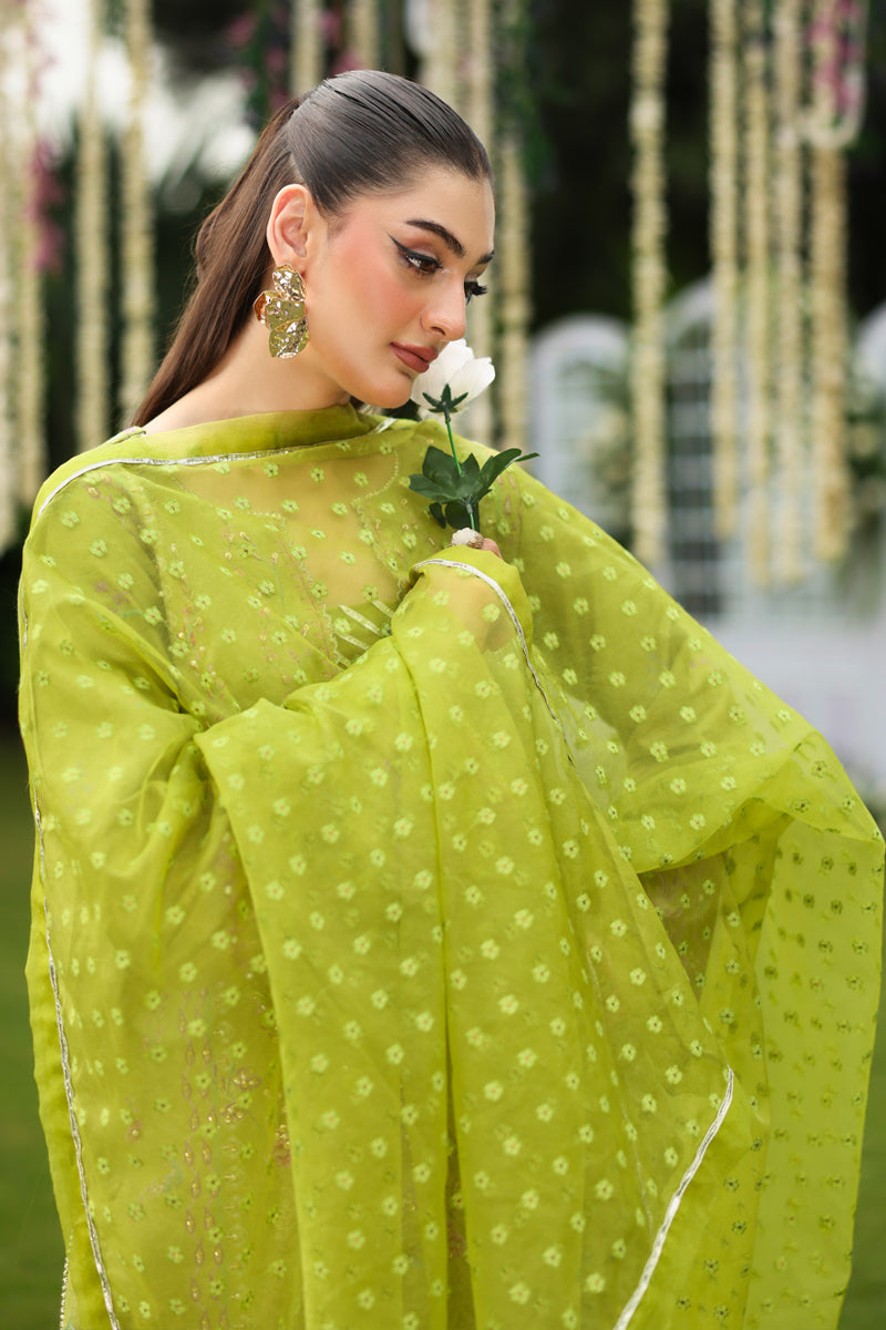 Rangrasiya | Luxe Silk | Radin