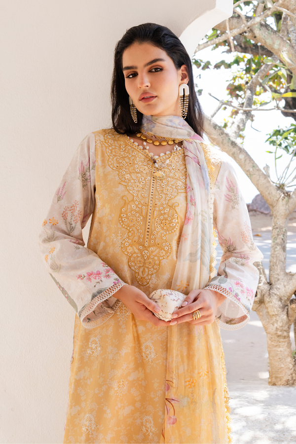 Aabyaan | Shezlin Chikankari 26 | NURAYA (AZ-10)