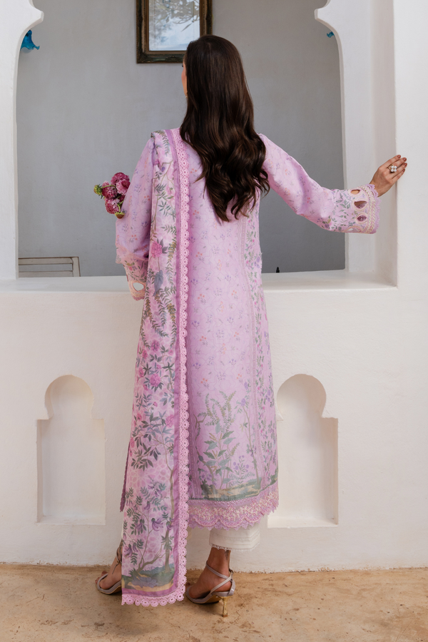 Aabyaan | Shezlin Chikankari 26 | ELOWEN (AZ-11)