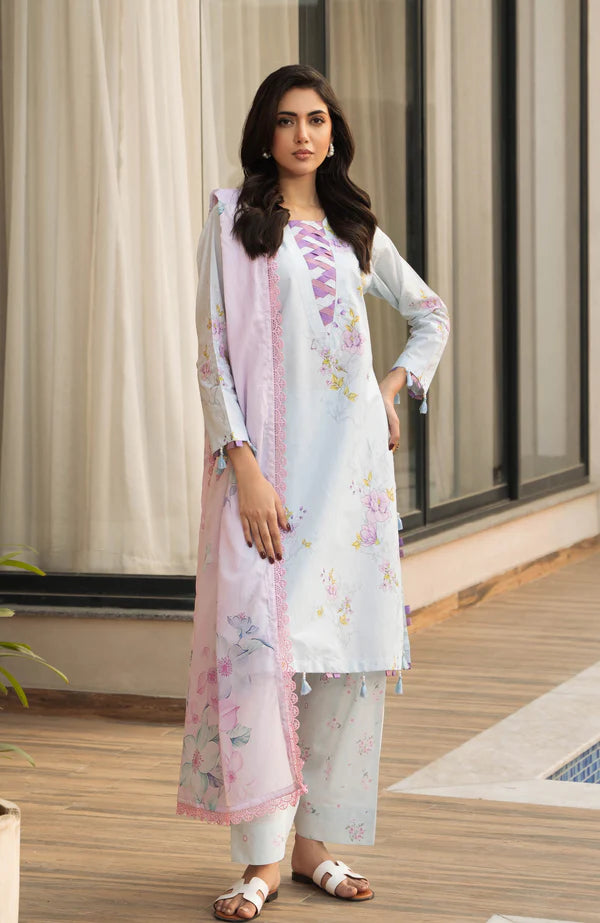 Alzohaib | Premium Prints 25 | AZP-25-15