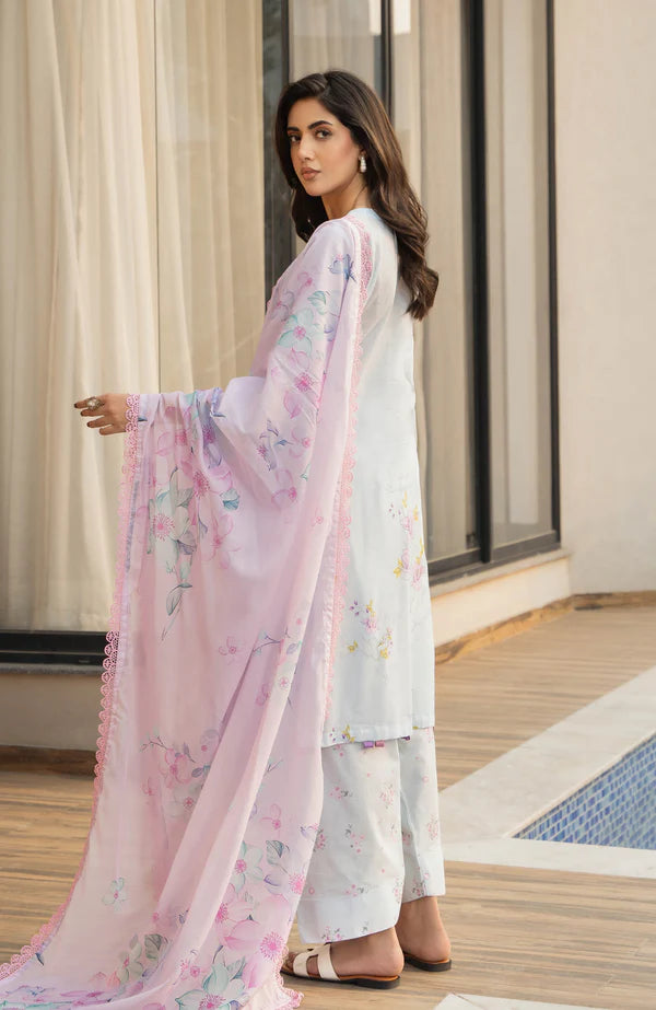 Alzohaib | Premium Prints 25 | AZP-25-15