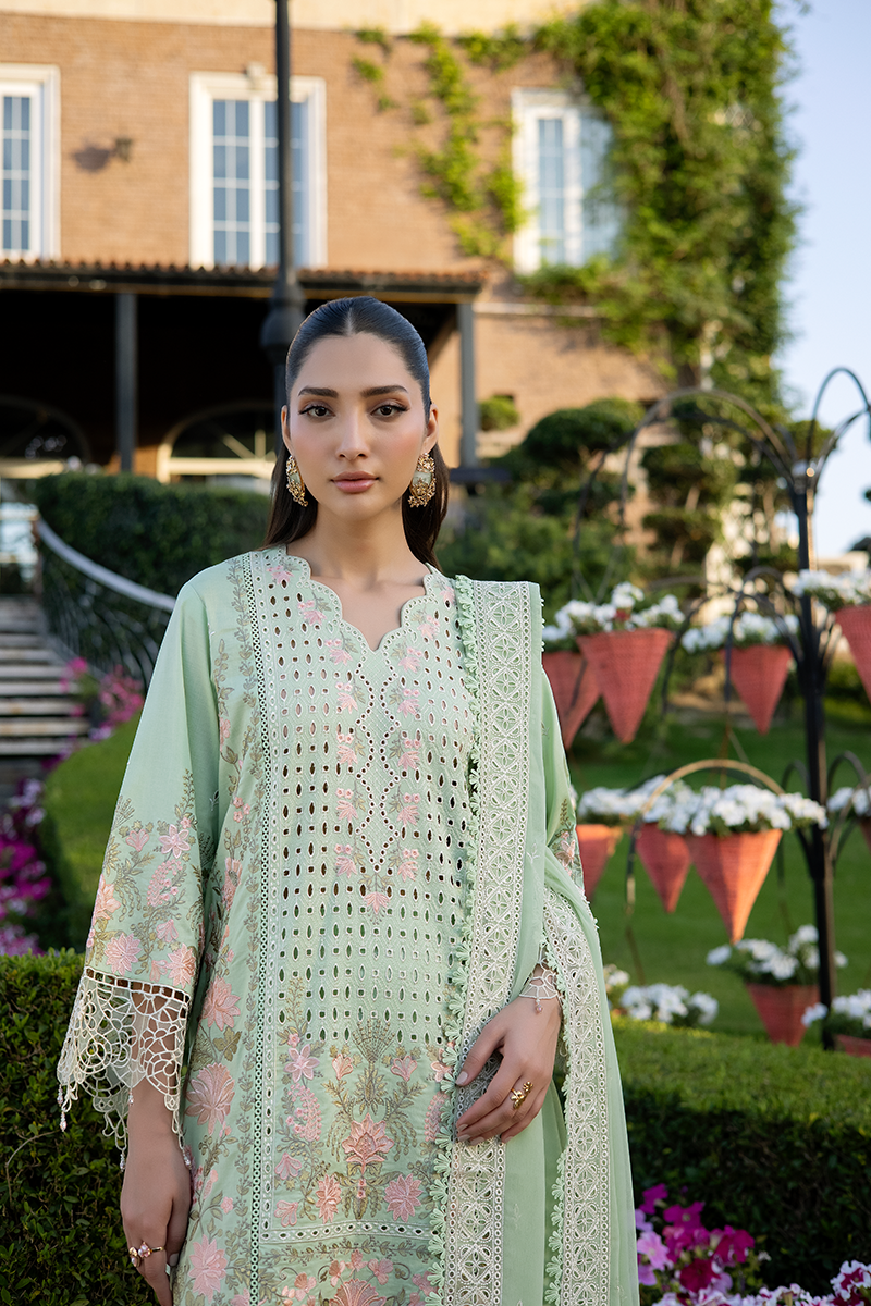 Raeesa Premium | Amani Lawn 26 | AM-005 PETALYA