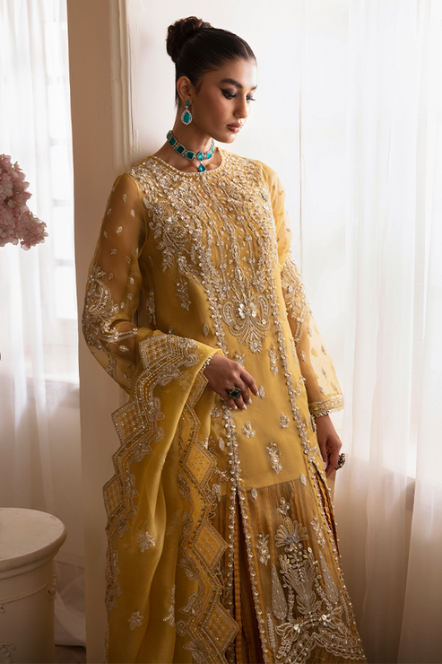 Nyra | Wedding Festive 24 | Aurea