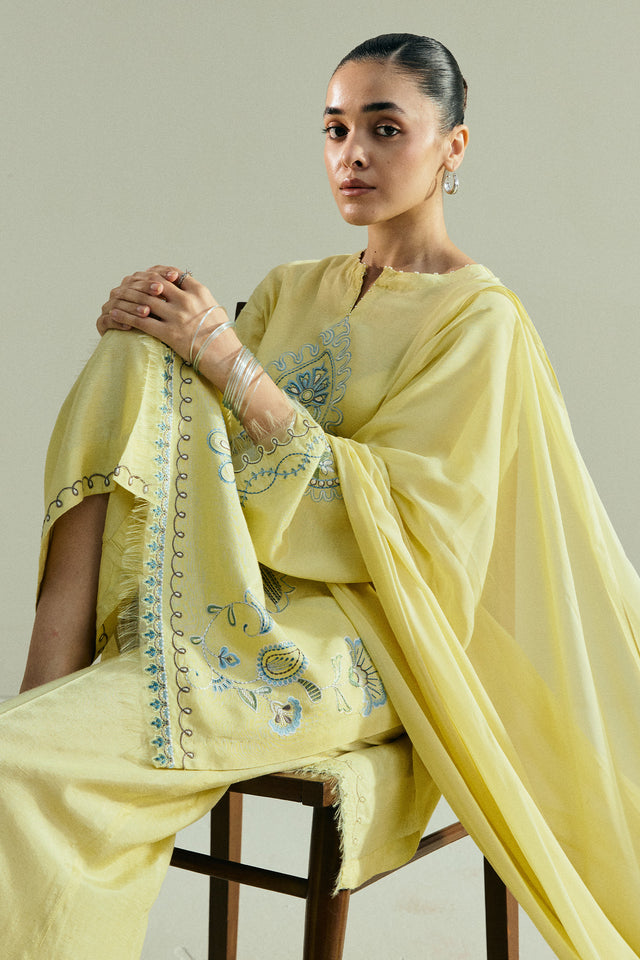 Zara Shahjahan | Pret 26 | CR25P0963A