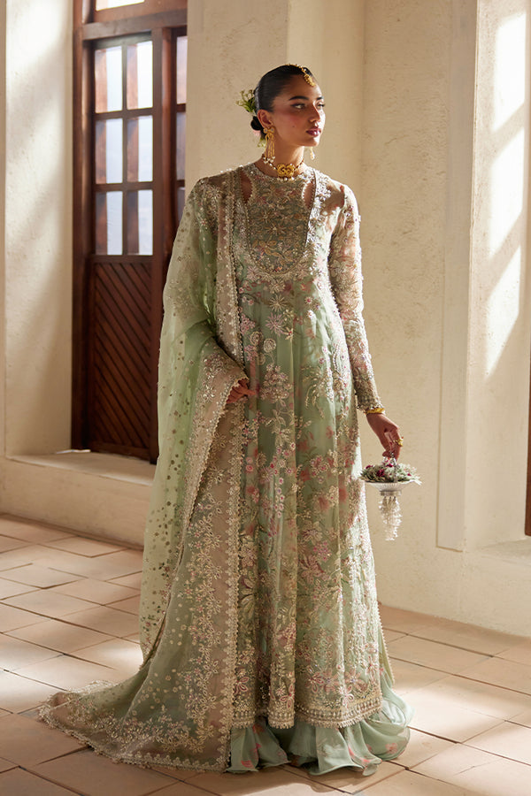 Suffuse | Freeshia Wedding Formals | Calene
