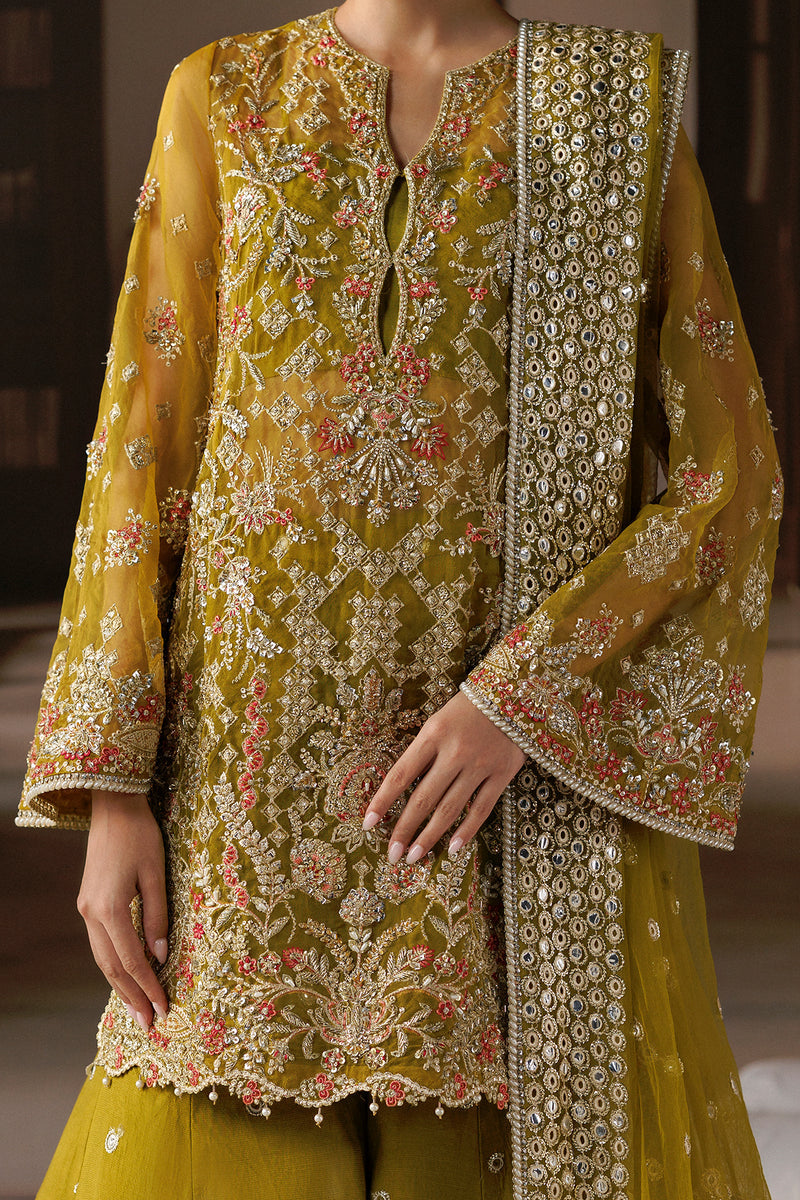 Afrozeh | Shehnai Wedding Formals 26 | Zarminay
