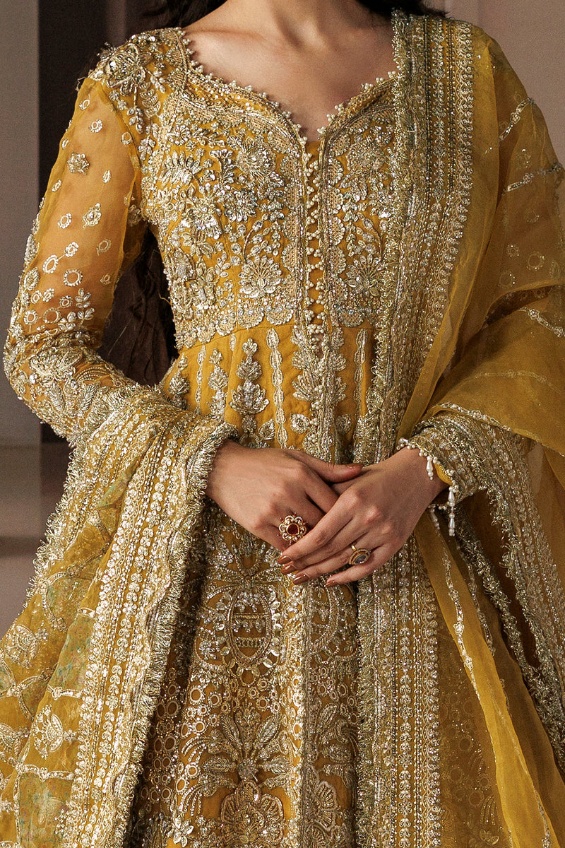 Afrozeh | Shehnai Wedding Formals 26 | Aylin