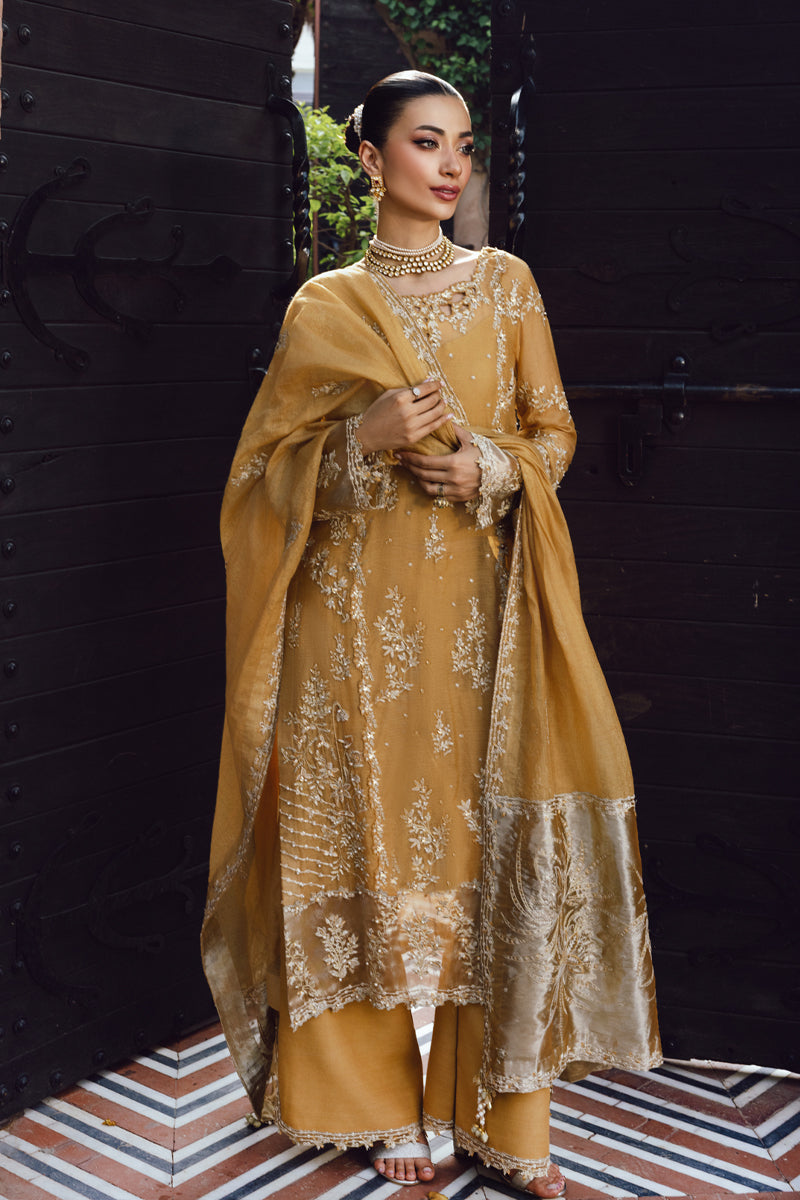 Rangrasiya | Wedding Formals 25 | Misha