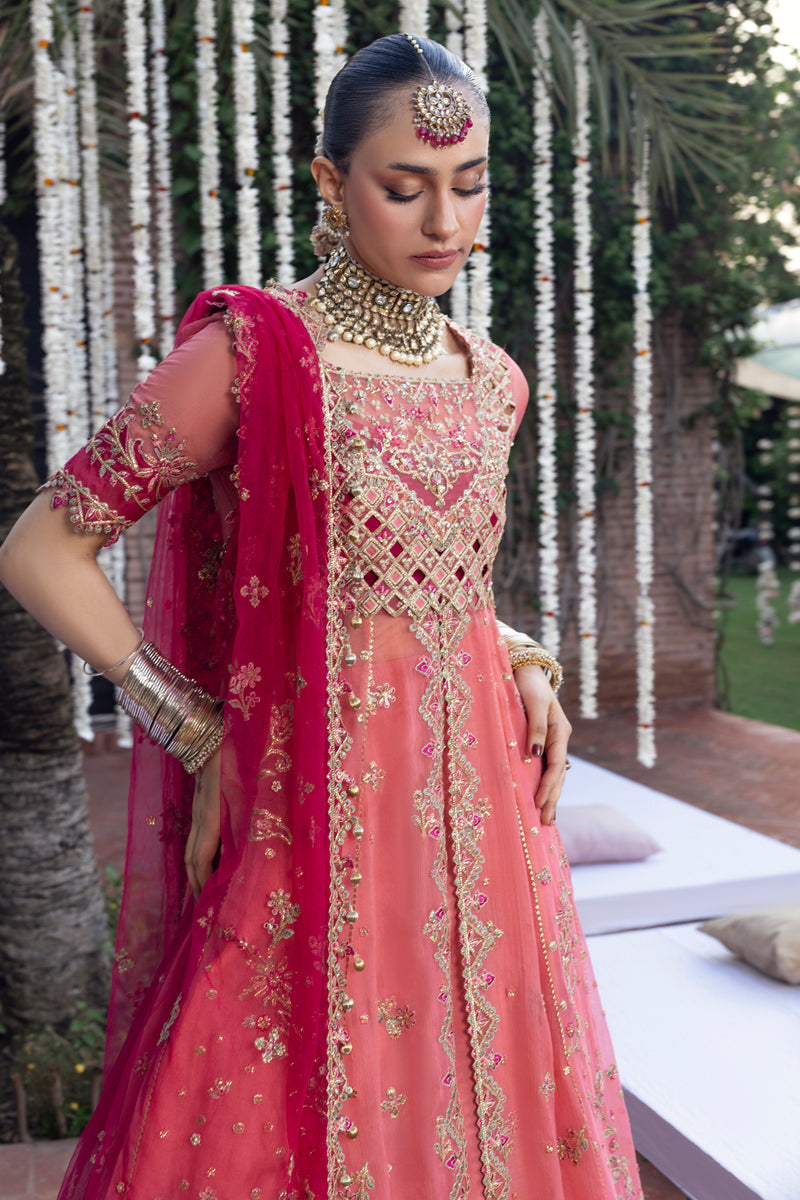 Rangrasiya | Wedding Formals 25 | Narmeen