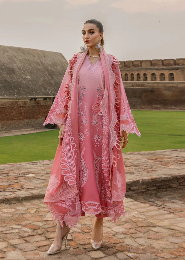 Crimson | Tasawar 25 | ALL THINGS OMBRE - D1B
