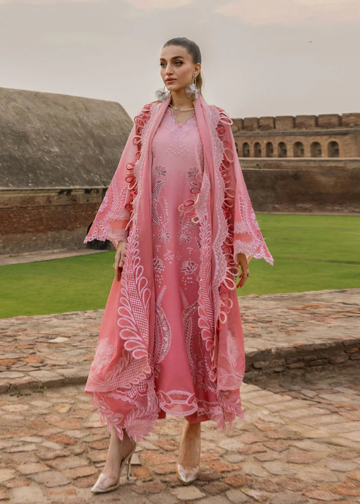 Crimson | Tasawar 25 | ALL THINGS OMBRE - D1B