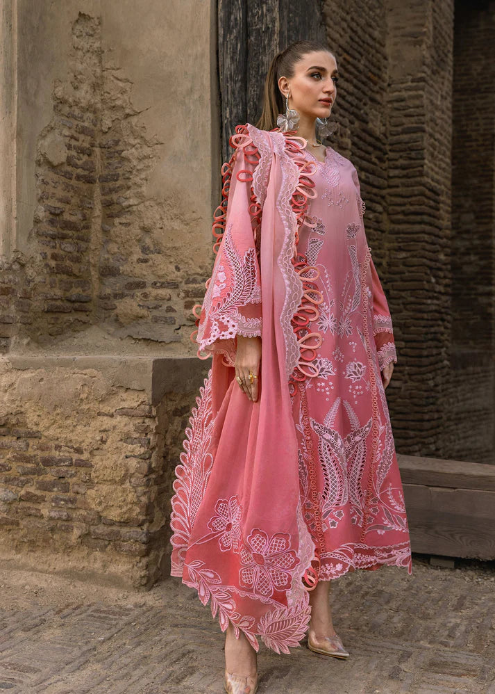 Crimson | Tasawar 25 | ALL THINGS OMBRE - D1B