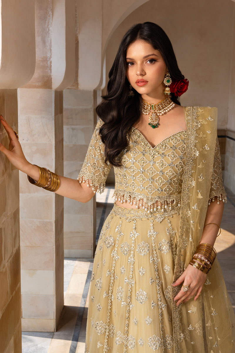 Rangrasiya | Chiffon Formals | Zaiena