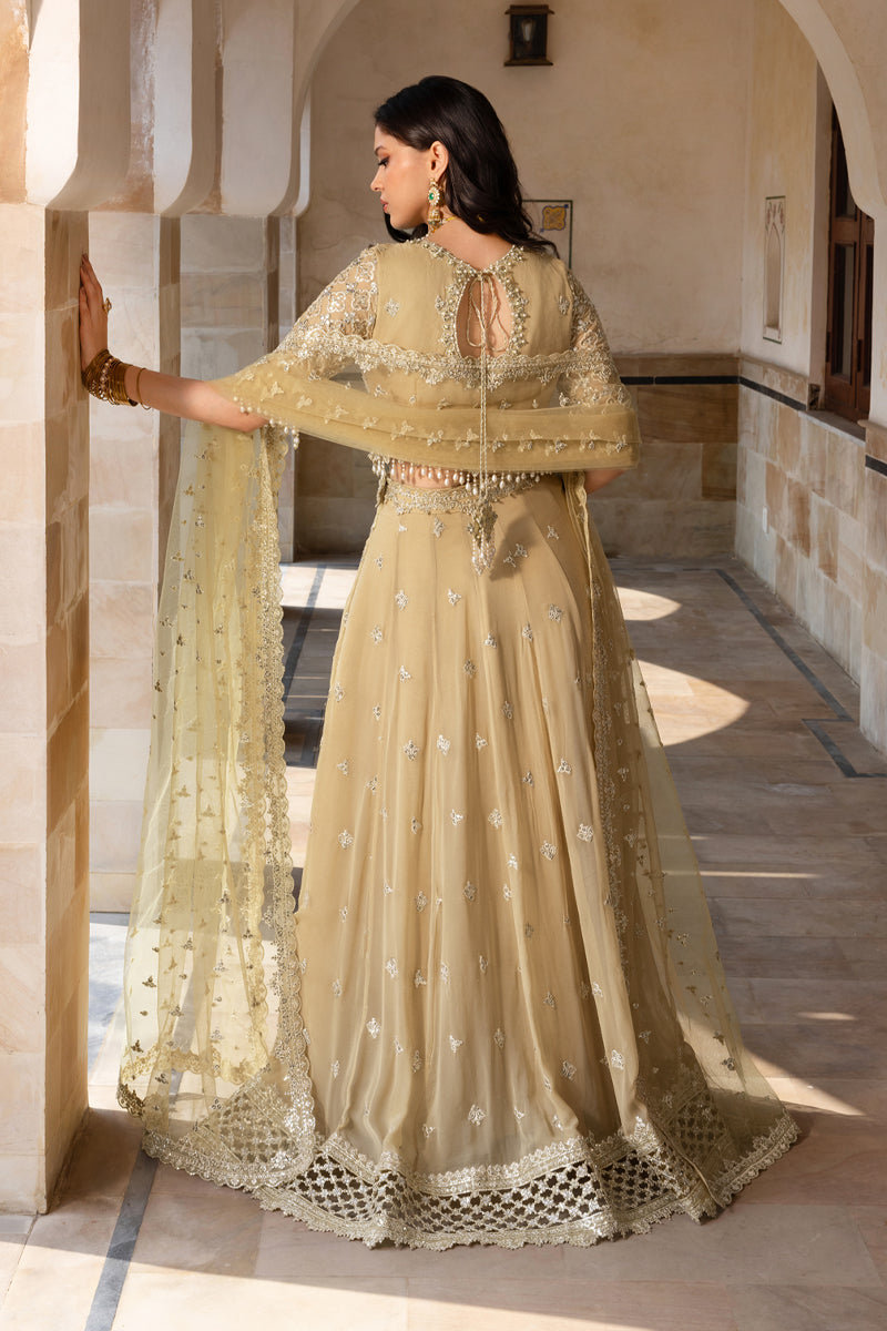 Rangrasiya | Chiffon Formals | Zaiena