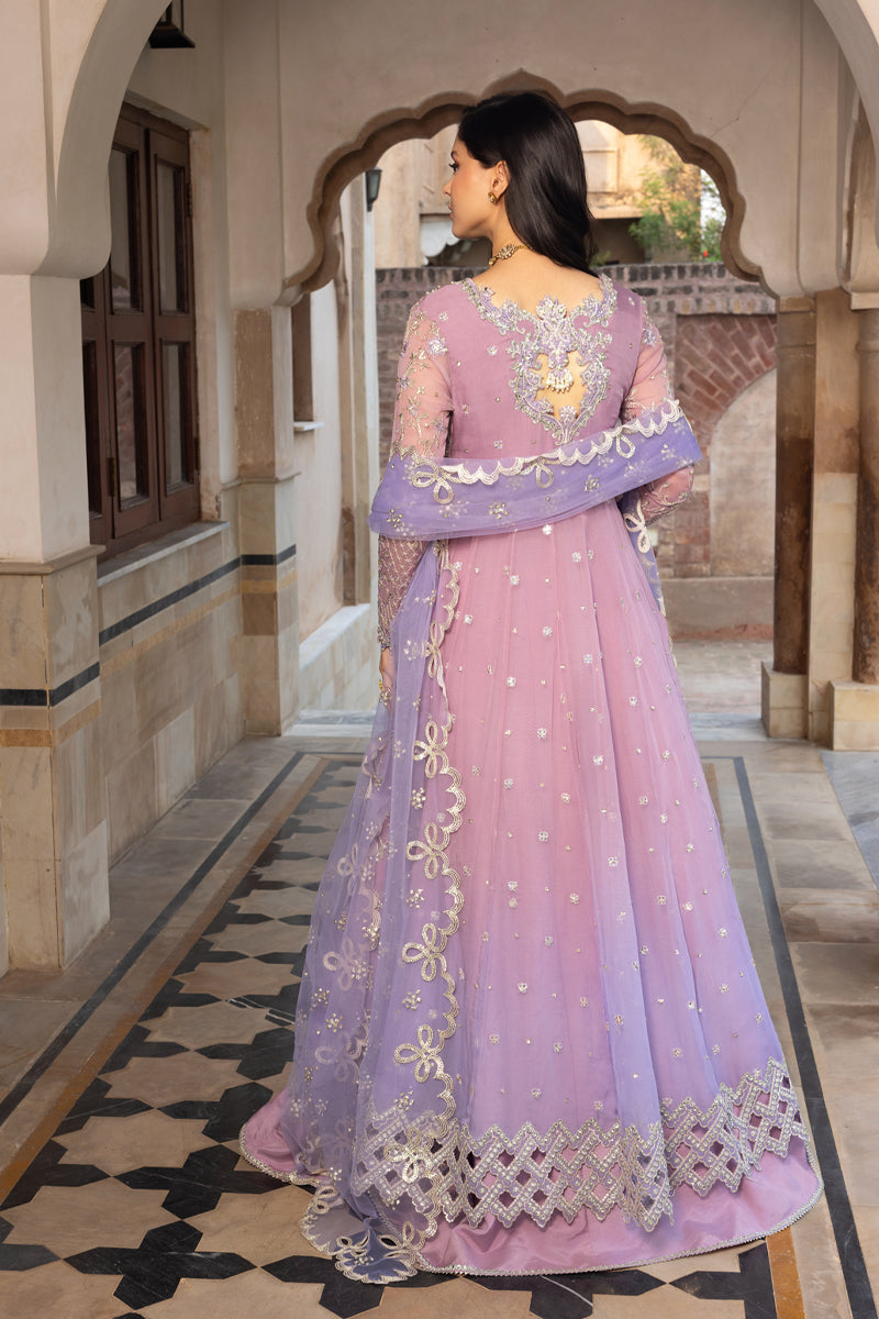 Rangrasiya | Chiffon Formals | Basma