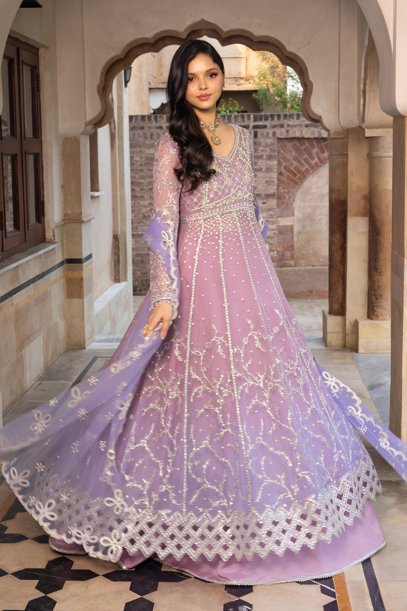 Rangrasiya | Chiffon Formals | Basma