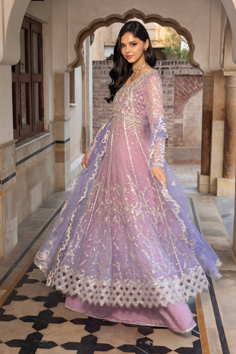 Rangrasiya | Chiffon Formals | Basma