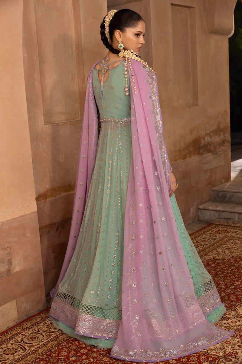 Rangrasiya | Chiffon Formals | Zoha
