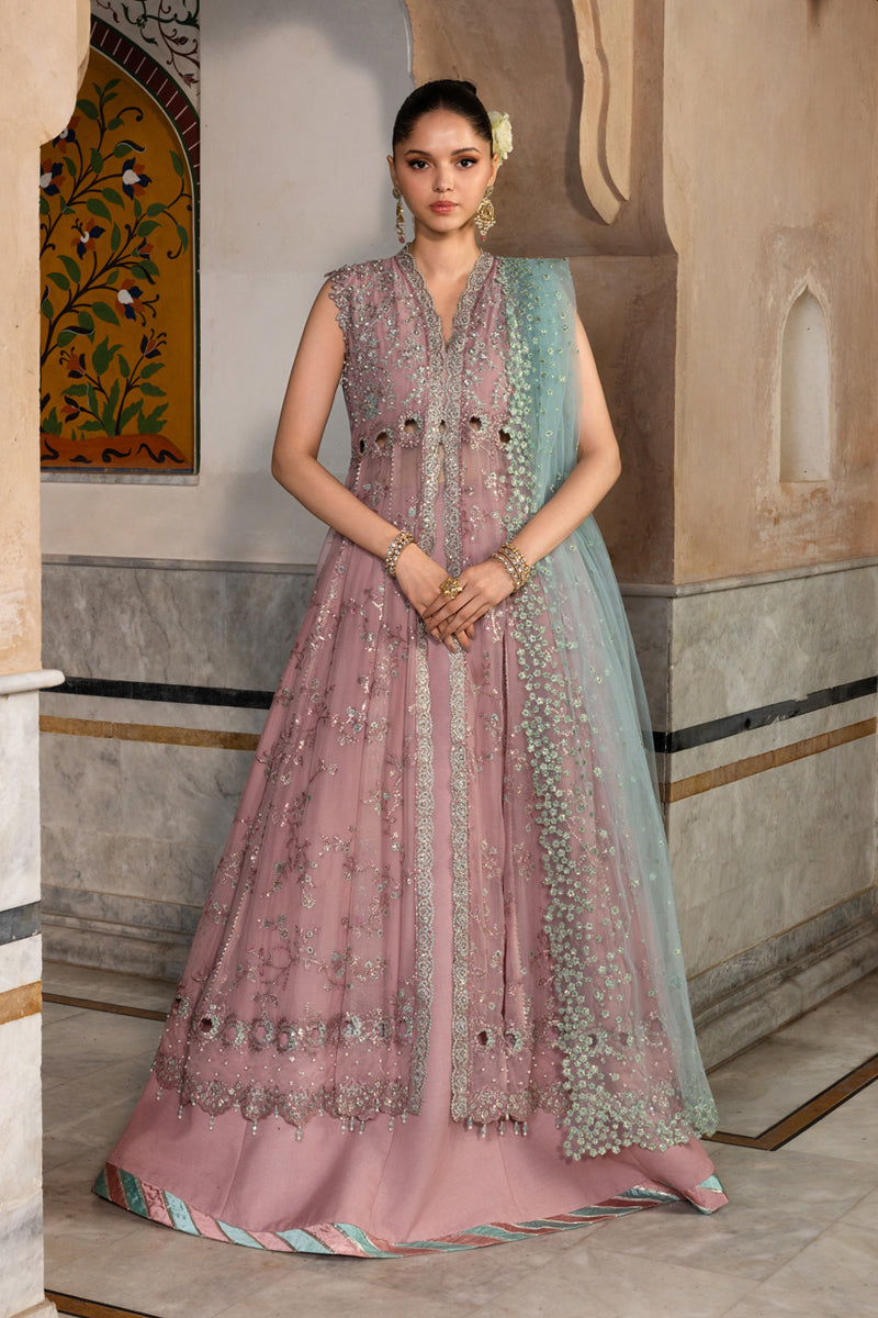Rangrasiya | Chiffon Formals | Mahiba