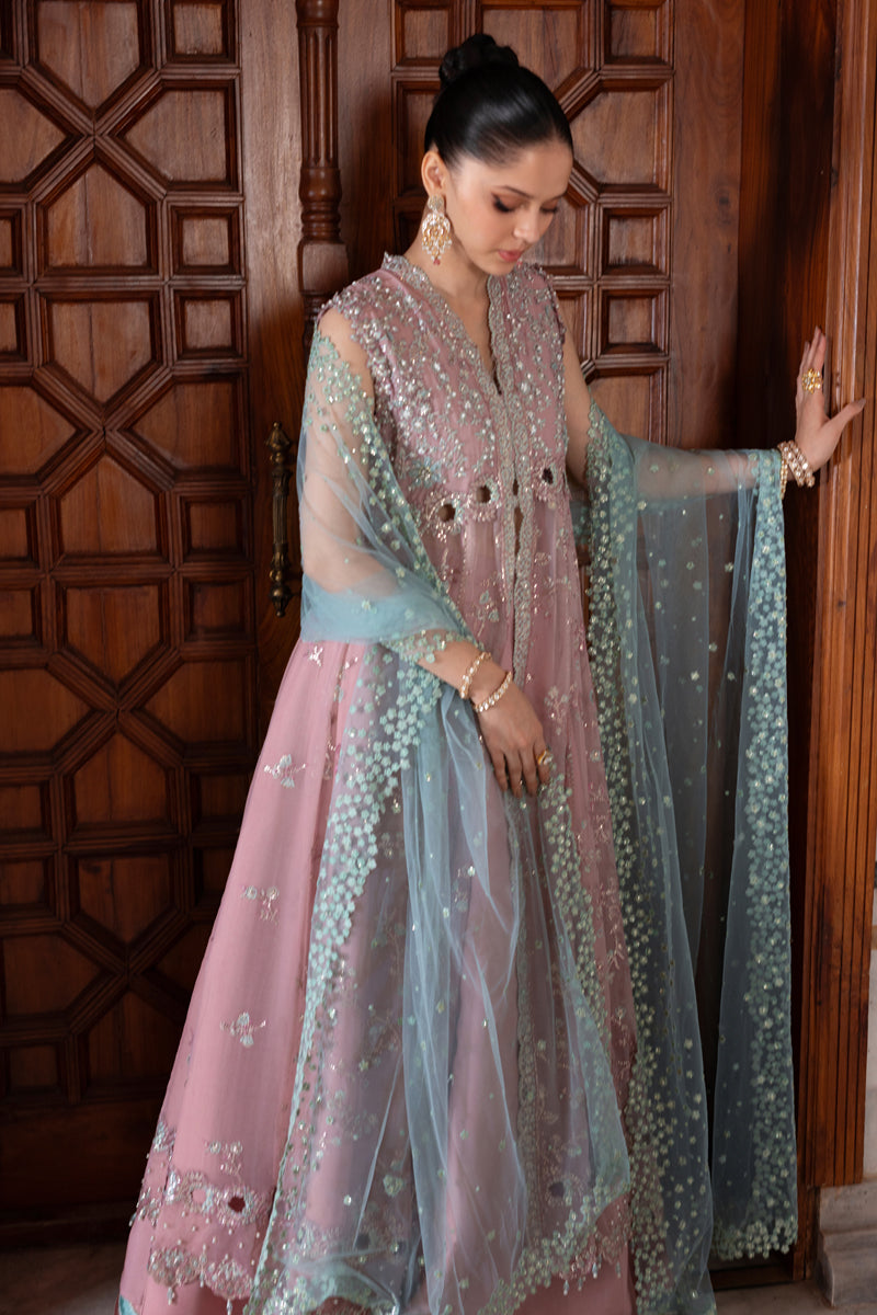 Rangrasiya | Chiffon Formals | Mahiba