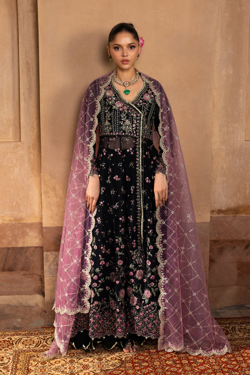 Rangrasiya | Chiffon Formals | Sofia