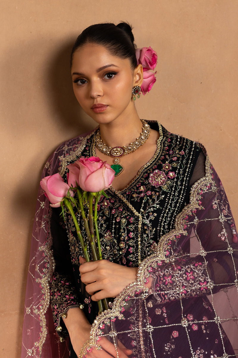 Rangrasiya | Chiffon Formals | Sofia