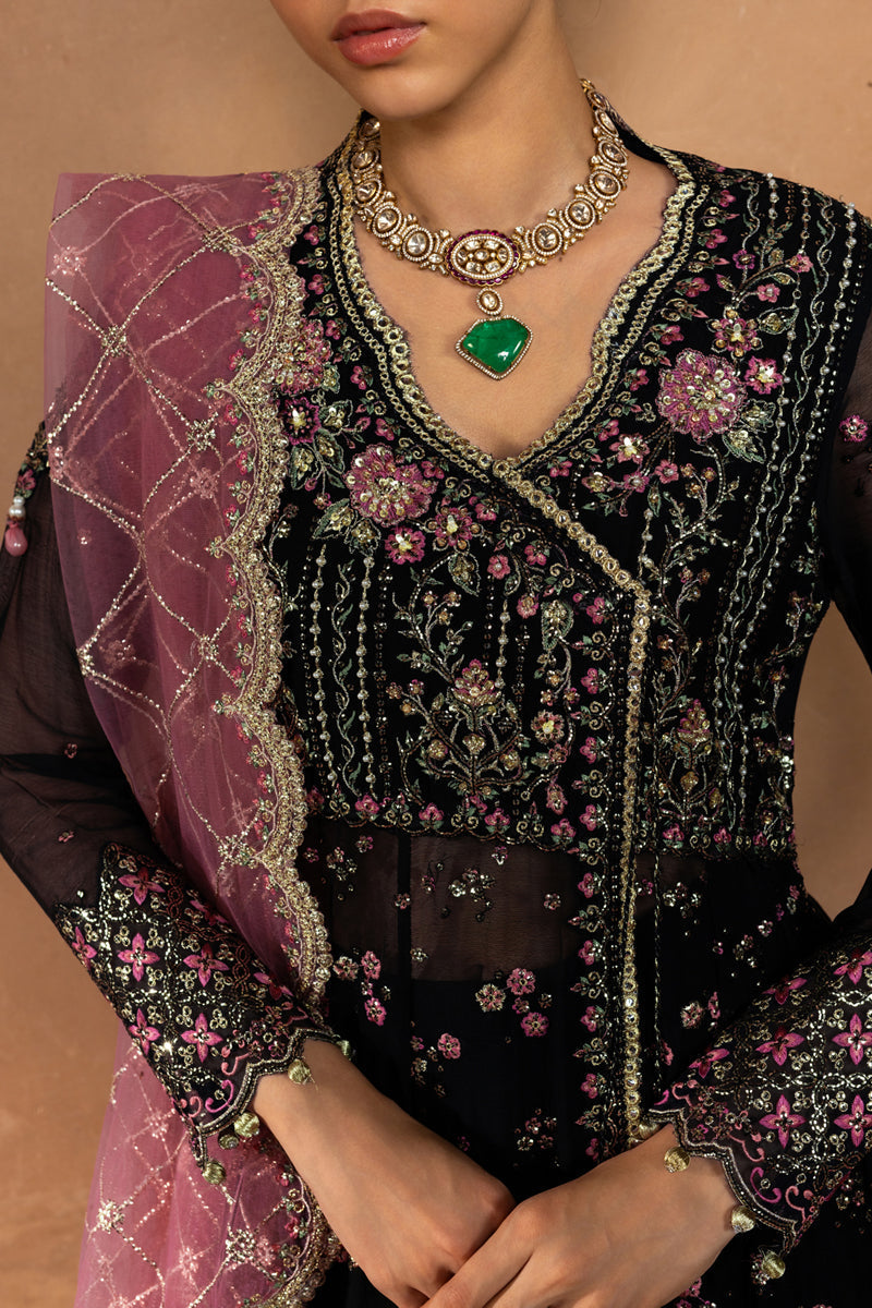 Rangrasiya | Chiffon Formals | Sofia