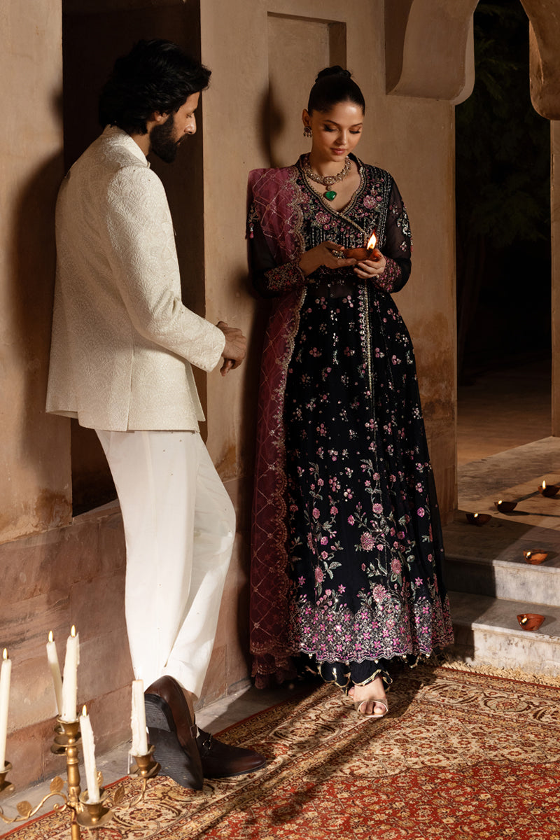 Rangrasiya | Chiffon Formals | Sofia