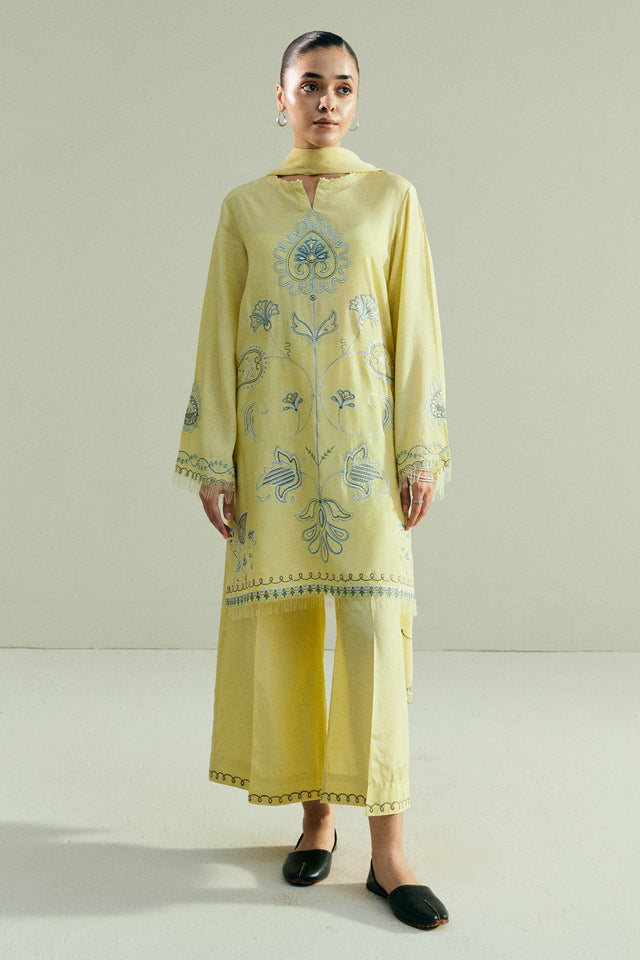 Zara Shahjahan | Pret 26 | CR25P0963A
