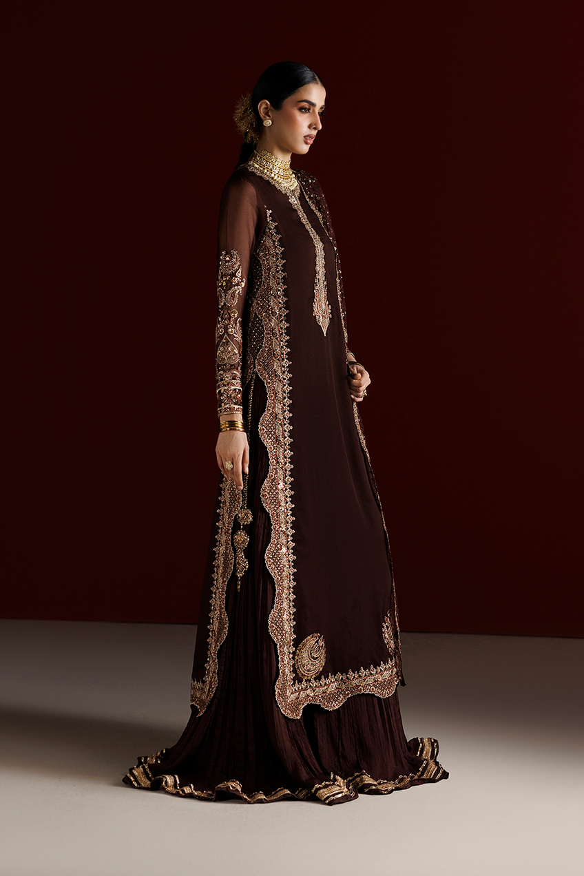 Iznik | Semi Formals'26 | CC-113 Embroidered Chiffon