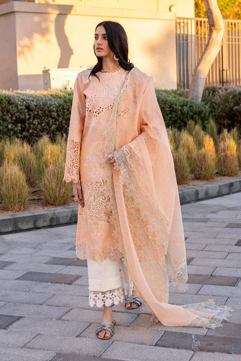 Rangrasiya | Carnation Summer Edit 25 | Zinnia