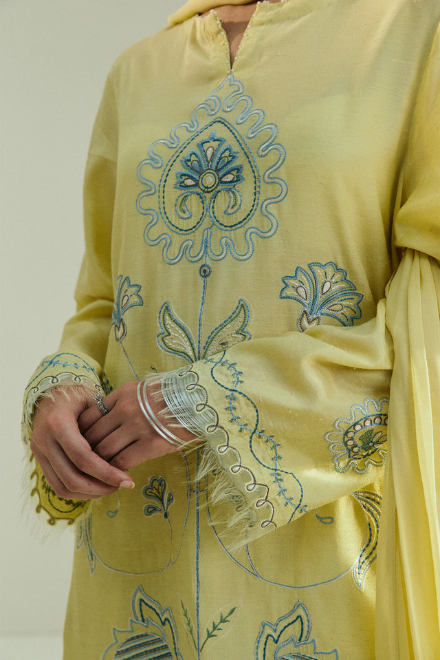 Zara Shahjahan | Pret 26 | CR25P0963A