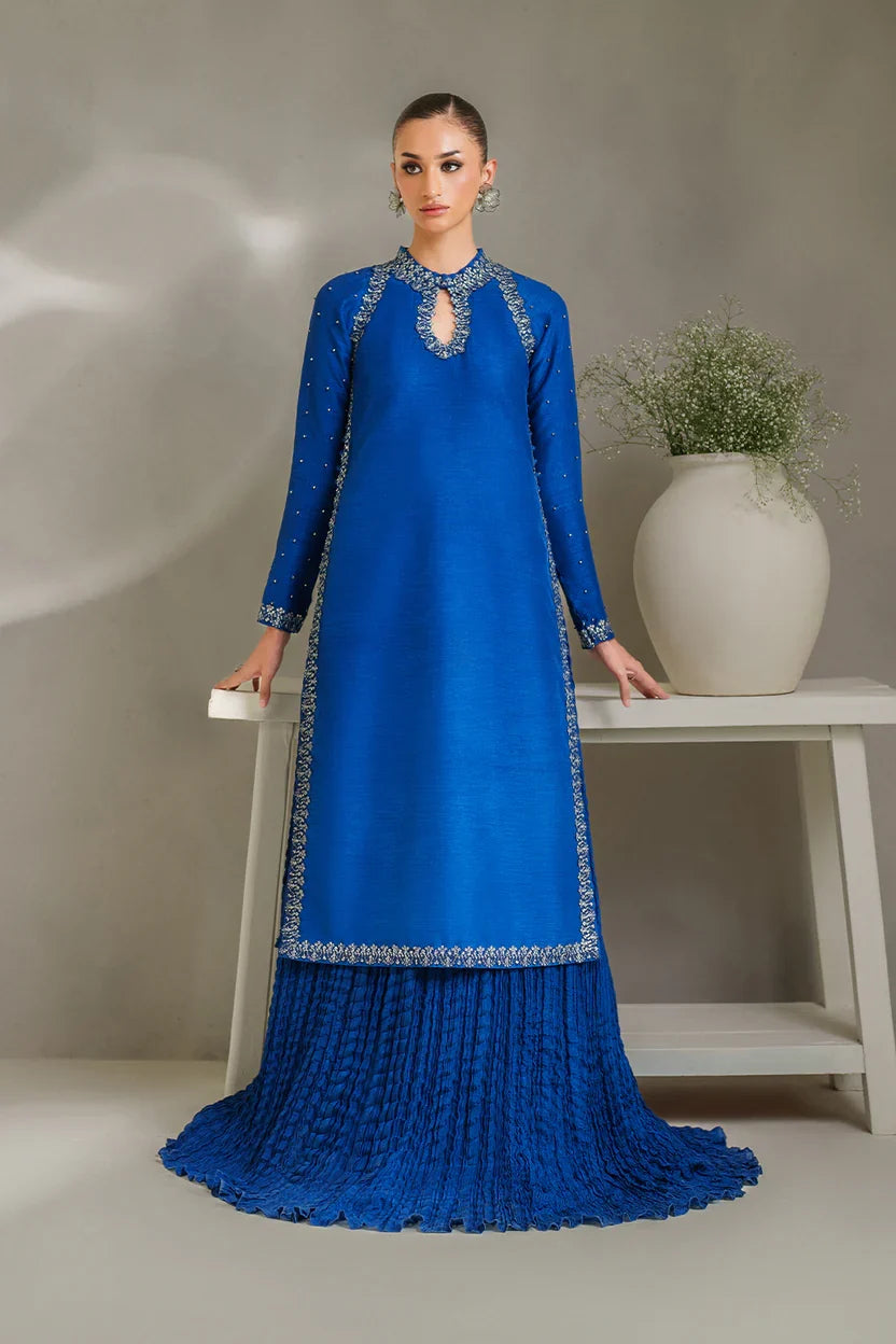 Iznik | Ready to Wear | IP-336 Embroidered Rawsilk