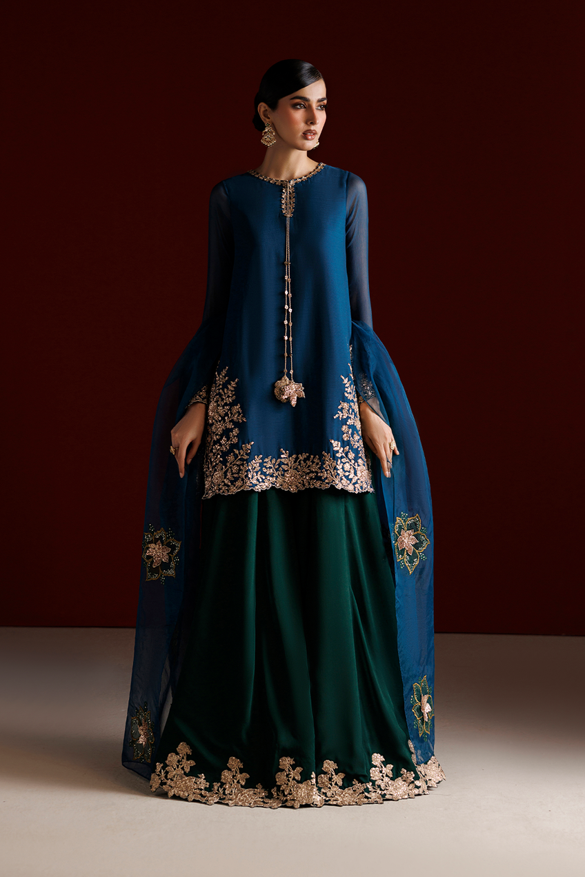 Iznik | Semi Formals'26 | CC-102 Embroidered Chiffon