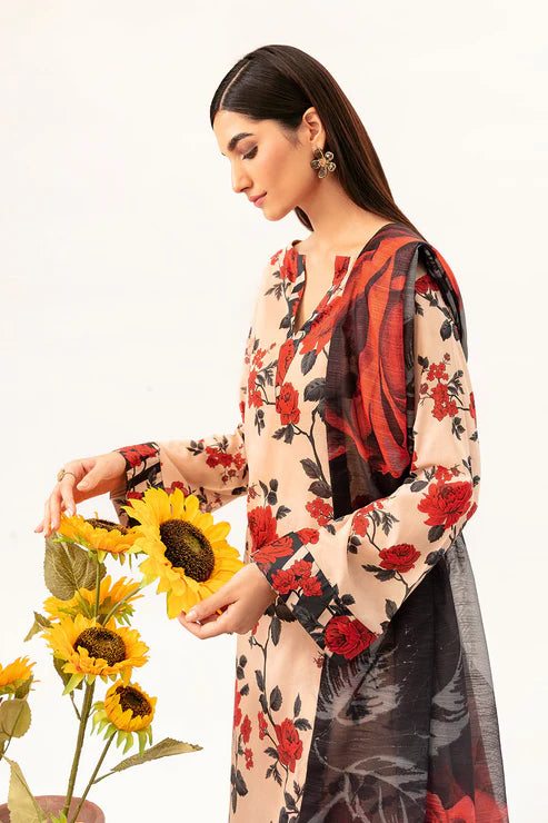 Afsanah | Ready to Wear | Subdued Rust AP-05