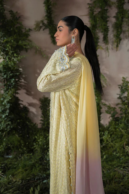 Ammara Khan | Sia 25 | D-09