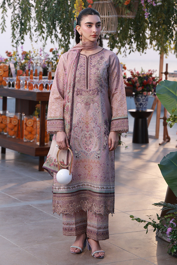 Gulaal | Delia Lawn | Ayla