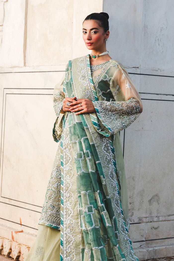 Raeesa Premium | Zauj Formals | AAK - 06
